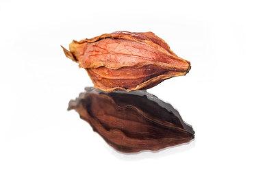 猫咖经营模拟游戏《猫咖经理》现已在Steam发售 支持中文